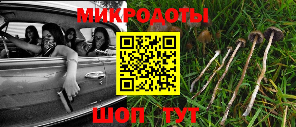 Королёв  Псилоцибиновые грибы Magic Shrooms  Вход с VPN 