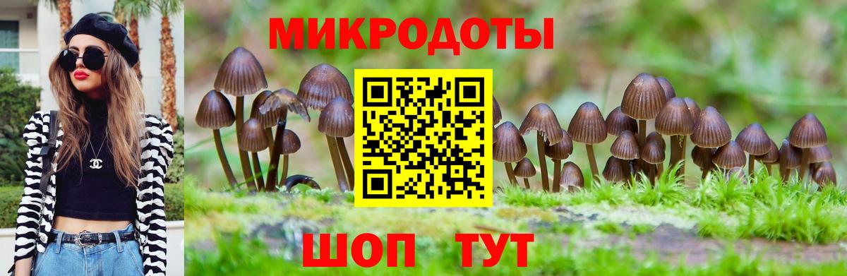 Галлюциногенные грибы Cubensis Королёв